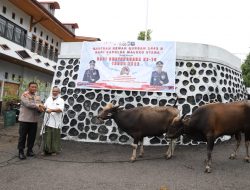 Kapolda Salurkan Puluhan Ekor Sapi Qurban