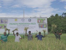 Harita Nickel Kembangkan Sentra Ketahanan Pangan di Pulau Obi
