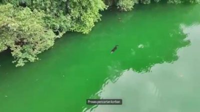 Tim SAR Evakuasi Remaja yang Diterkam Buaya Danau Tolire