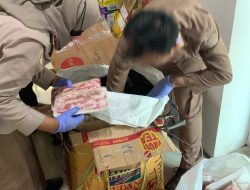 Tanpa Dokumen, Karantina Pertanian Ternate Tahan Produk Hewan Asal Surabaya