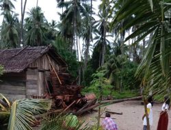 Cuaca Buruk, Rumah Warga di Taliabu Tertimpa Pohon Tumbang