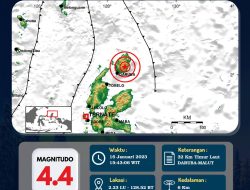 Gempabumi Magnitudo 4.4 Guncang Daruba, Morotai