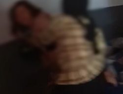 Istri Sah Labrak Kekasih Gelap Anggota DPRD Fraksi PKB