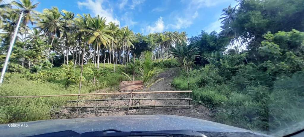 Lahan Telah Dimediasi Pemerintah Desa, Pekerjaan Jalan Lingkar Pulau Morotai Berlanjut