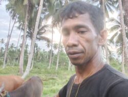 Polsek Gane Dinilai Tebang Pilih, Kasus Pencurian Sapi Sampai Harus Dilaporkan ke Irwasda Polda Malut