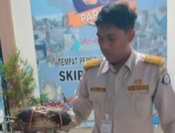 Karantina Maluku Utara Rutin Fasilitasi Ekspor Kepiting Bakau Tujuan Singapura