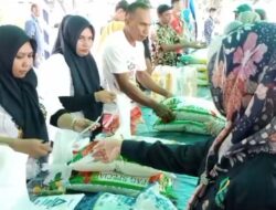 Harga Beras Naik, Pemda Taliabu Belum Lakukan Operasi Pasar Murah, Kadis Pangan: Kami Sudah Siap