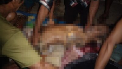Kakek di Halmahera Diterkam Buaya, Tubuhnya Ditemukan Tercabit-cabit
