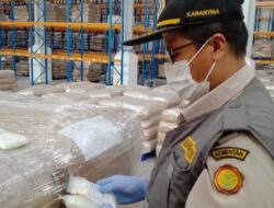 Halut Kembali Krim Kelapa Parut, Karantina Nyatakan Bebas Dari Organisme