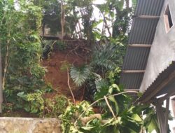 Tanah Longsor dan Pohon Tumbang Ancam Keselamatan Warga Akehuda