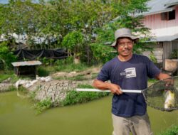 Kisah Nia dan Bambang, Petani Binaan Harita Nickel yang Sukses Jadi Pemasok Bahan Pangan