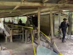 Puluhan Tambang Emas Ilegal di Halmahera Utara Ditutup Polisi
