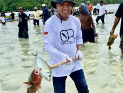 ‘Pey Wolo’, Tradisi Masyarakat Tepeleo Menangkap Ikan Menggunakan Tombak Dalam Perangkap