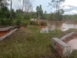 Sungai Tercemar Akibat Aktivitas Tambang Nikel PT ARA, Petani Terancam Gagal Panen