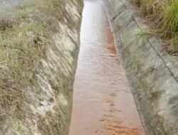 Visi Swasembada Pangan Terancam: Pencemaran Sungai oleh PT JAS Rugikan Petani di Halmahera Timur