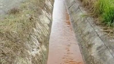 Visi Swasembada Pangan Terancam: Pencemaran Sungai oleh PT JAS Rugikan Petani di Halmahera Timur
