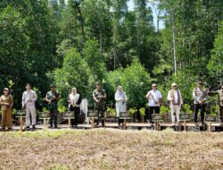 Bupati Halteng Hadiri Penanaman Mangrove di Desa Kobe, 1 Juta Bibit Disiapkan PT IWIP
