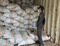 Karantina Maluku Utara Pastikan 52 Ton Kopra Bacan Aman Menuju Bitung