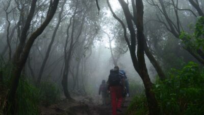 Tim SAR Gabungan Cari Lansia Hilang di Hutan Desa Gandasuli