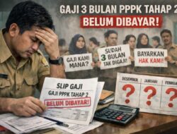 Tiga Bulan Tak Digaji, 245 PPPK Guru Tahap II Maluku Utara Desak Kepastian Pembayaran