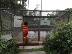 PT IWIP Luncurkan Sanctuary Park untuk Lindungi Flora dan Fauna Endemik Halmahera