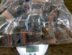 263 Sachet Ganja Ditangan Pemuda 19 Tahun Dibekuk Polisi