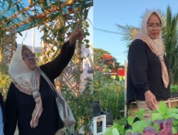 Wakil Ketua Pokja III TP-PKK Halteng Hadiri PENAS XVII, Pelajari Pengembangan Hortikultura
