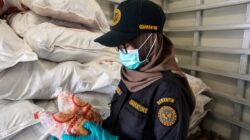 Dari Maluku Utara ke Pasar Global, Karantina Pastikan Setiap Komoditas Aman dan Berkualitas