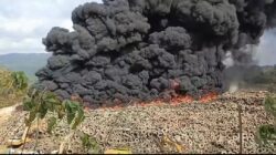 Kebakaran Hebat di Area Penampungan Ban Bekas PT IWIP, Diduga Disengaja Oknum Warga