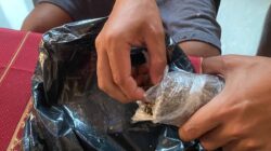 Ditresnarkoba Polda Malut Ungkap Kepemilikan 194,6 Gram Ganja di Ternate